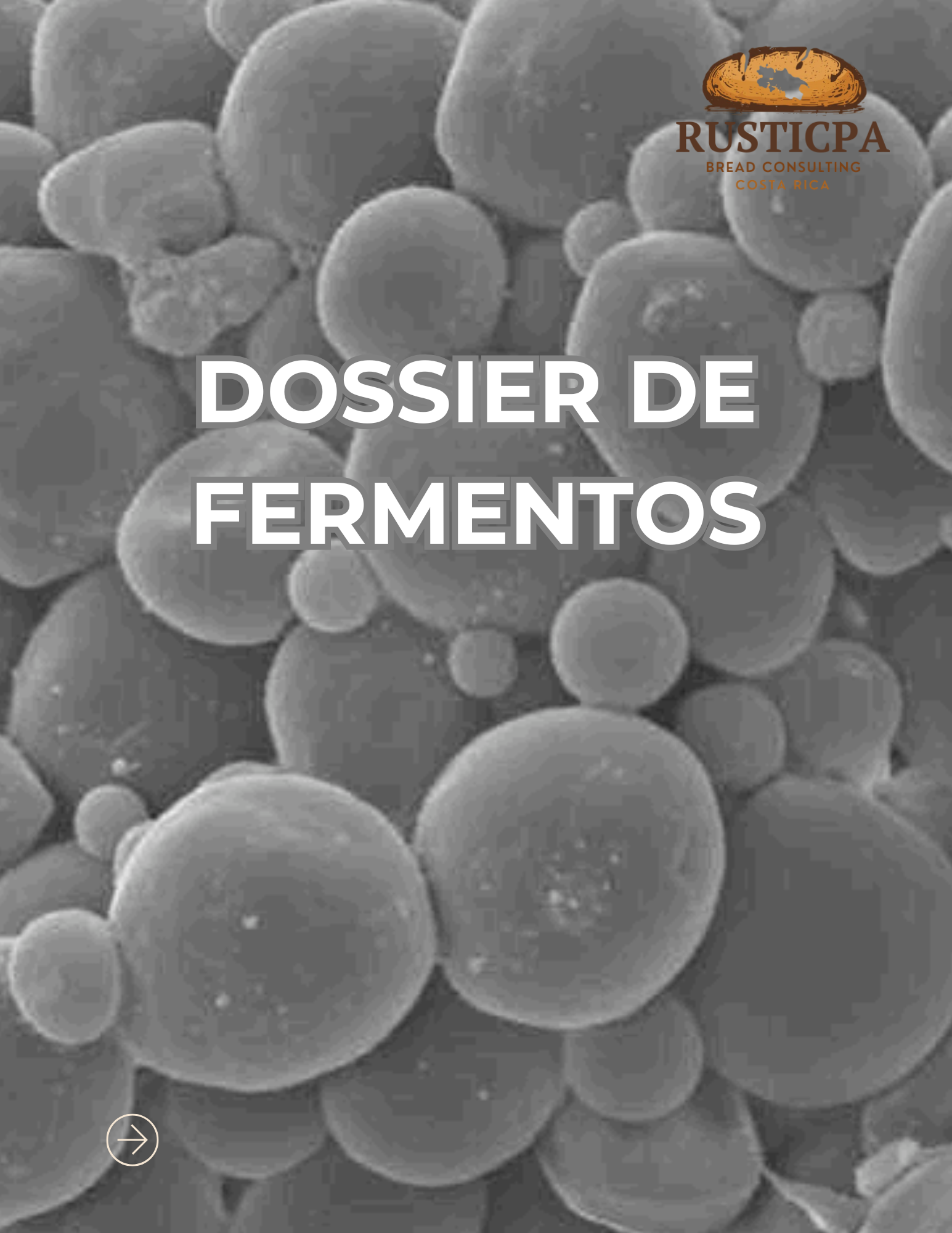 DOSSIER FERMENTOS