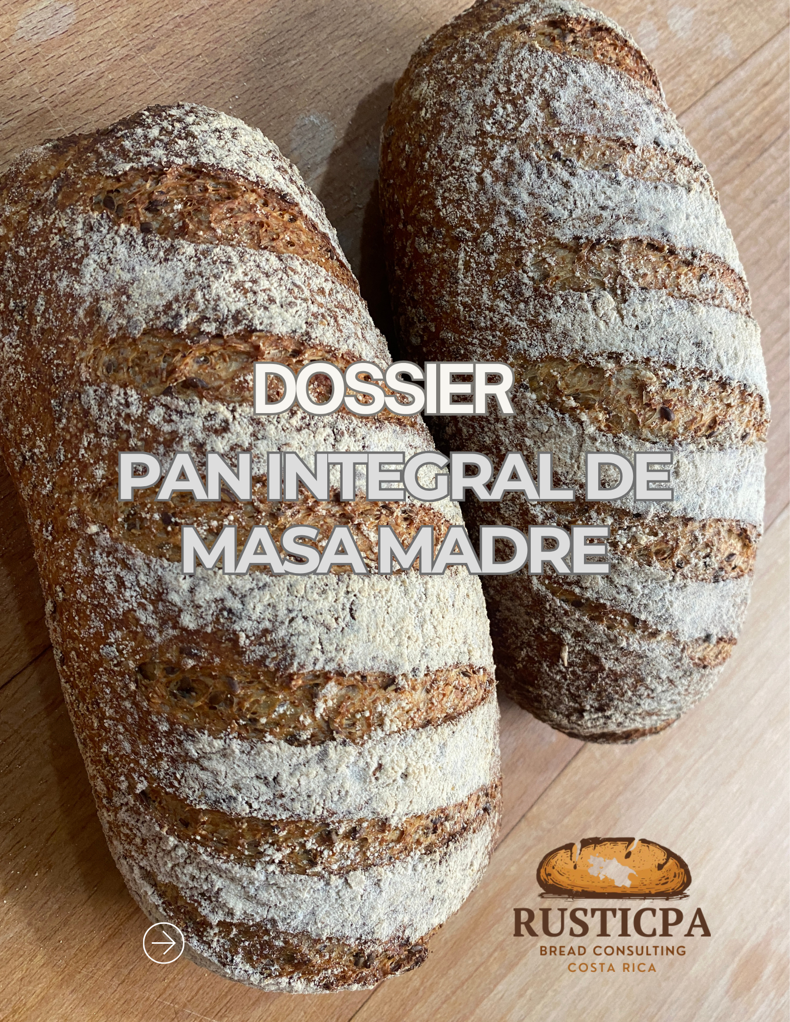 DOSSIER PAN INTEGRAL DE MASA MADRE