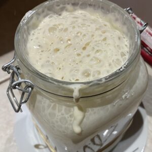 #84 FERMENTOS