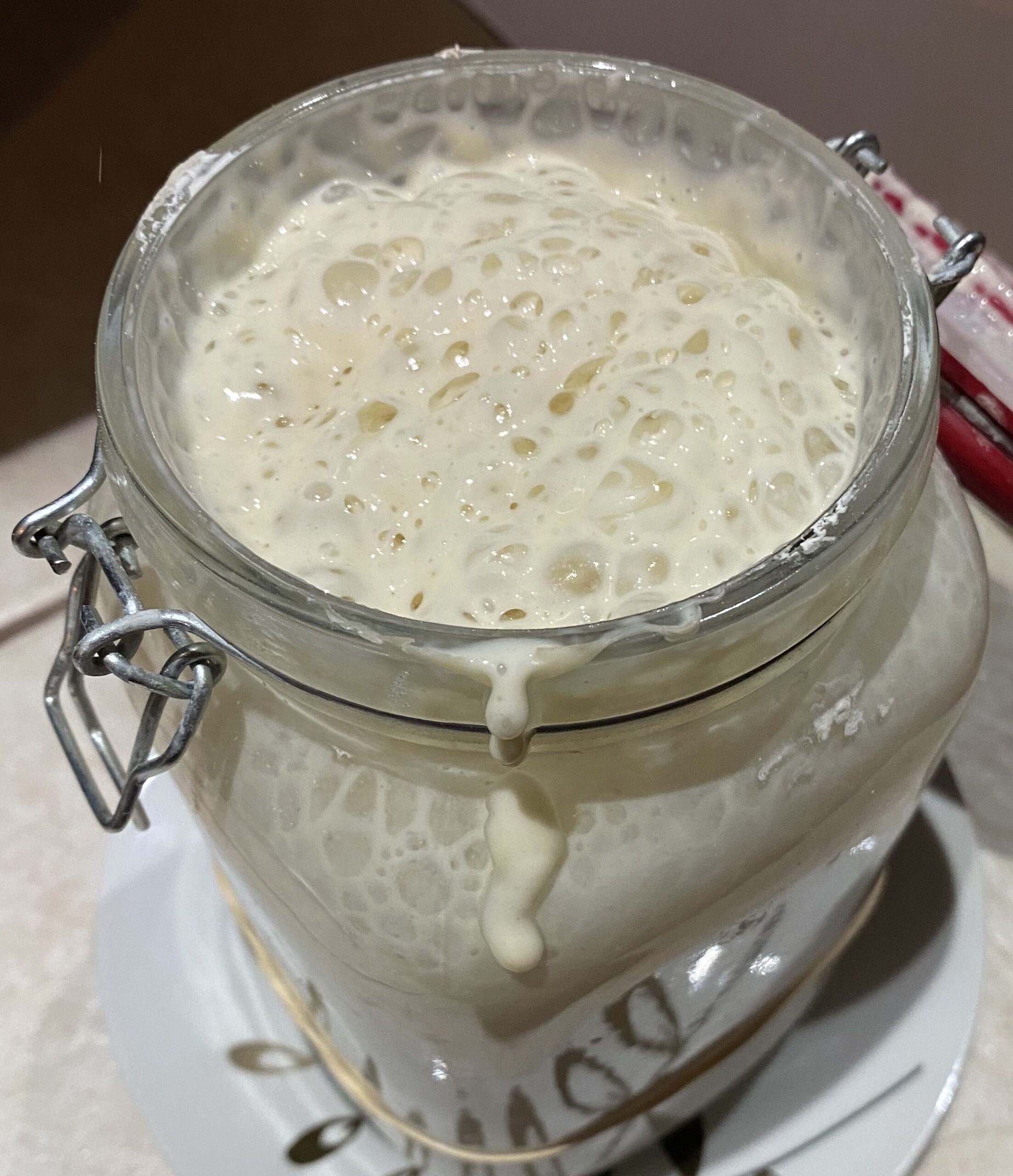 #84 FERMENTOS
