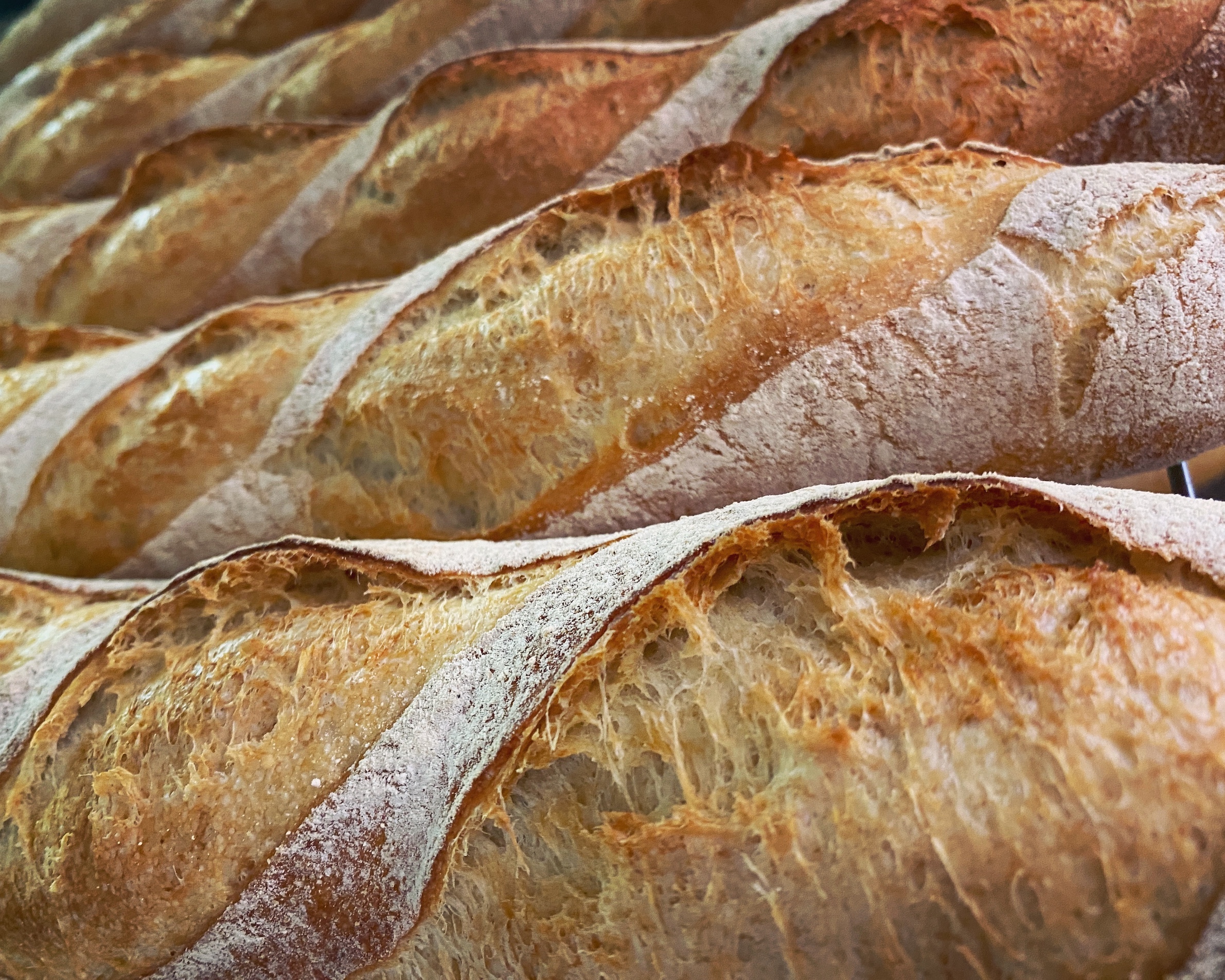 RECETARIO 1: BAGUETTE, BÂTARD, PAGÈS - Imagen 2